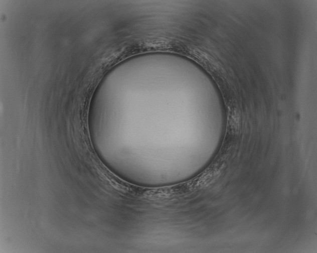 X0000073500817200608211712