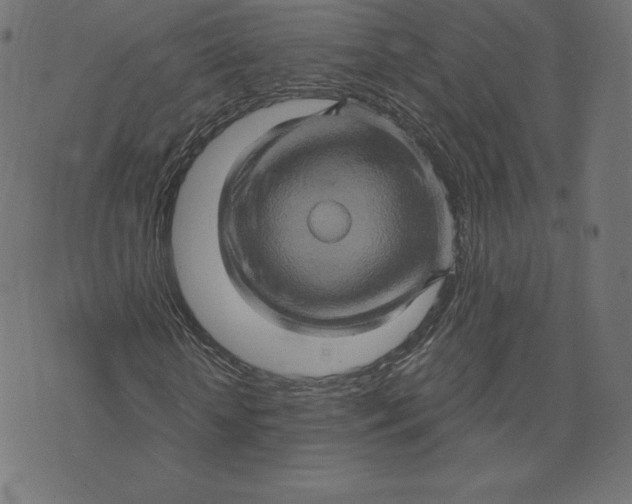 X0000073500818200608211712