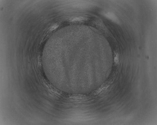 X0000073500819200608211712