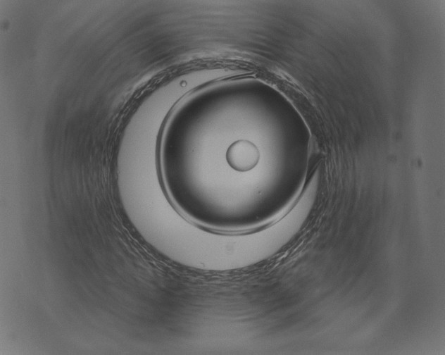 X0000073500822200608211712
