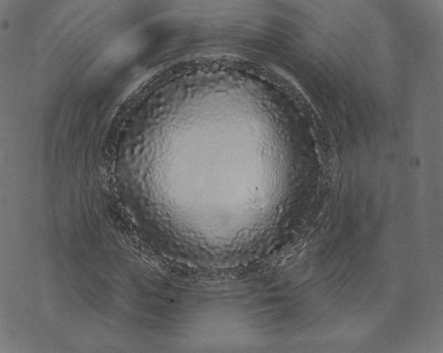X0000073500823200608211712