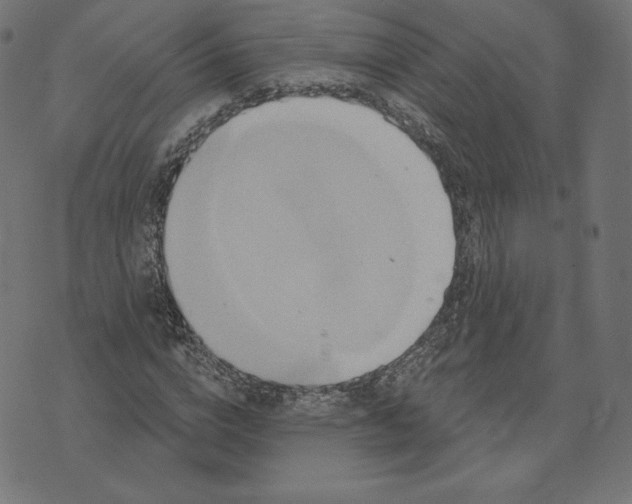 X0000073500824200608211712