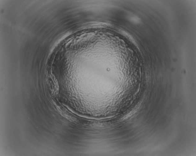 X0000073500827200608211712