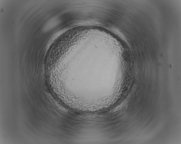 X0000073500831200608211712