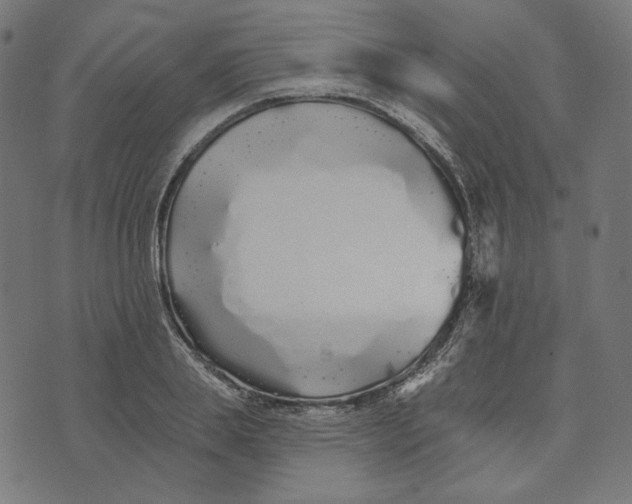 X0000073500839200608211713