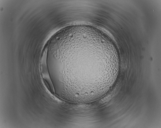 X0000073500847200608211713