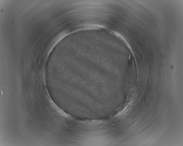 X0000073500851200608211713