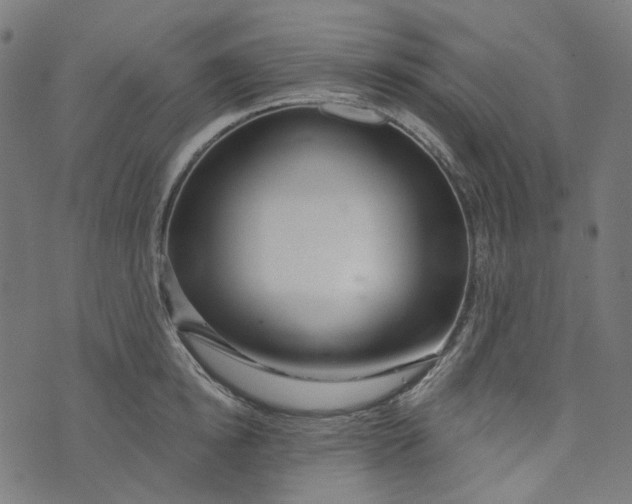 X0000073500854200608211713