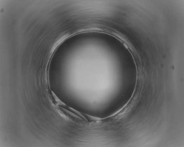 X0000073500858200608211713