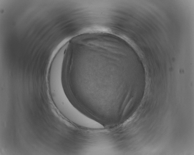 X0000073500864200608211713