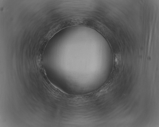 X0000073500867200608211712