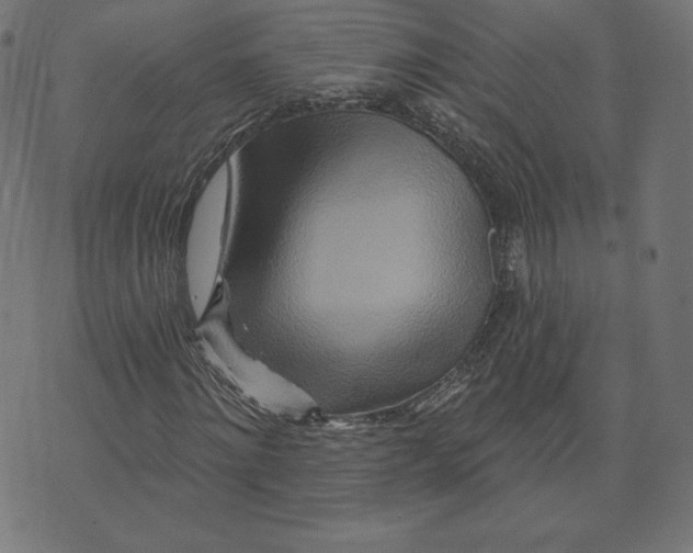 X0000073500868200608211712