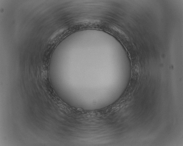 X0000073500869200608211712