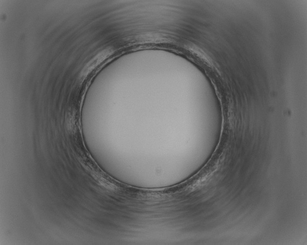 X0000073500873200608211712