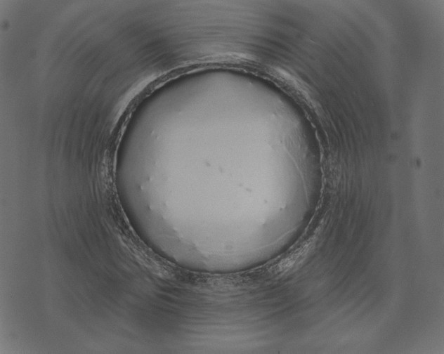 X0000073500875200608211712