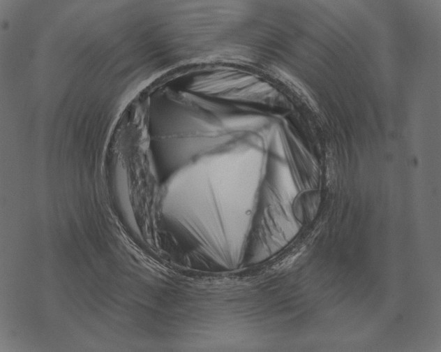 X0000073500876200608211712