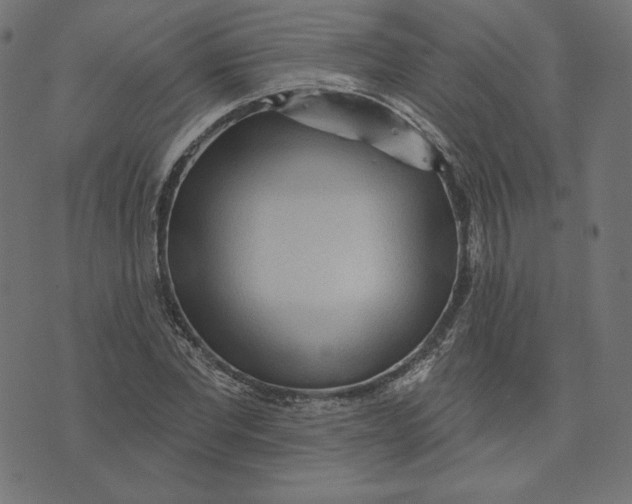 X0000073500877200608211712