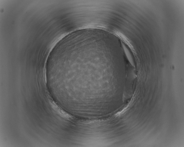 X0000073500892200608211712