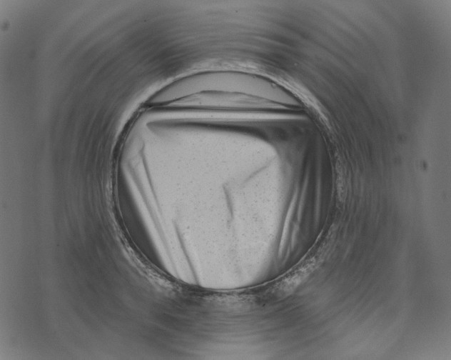 X0000073500896200608211712