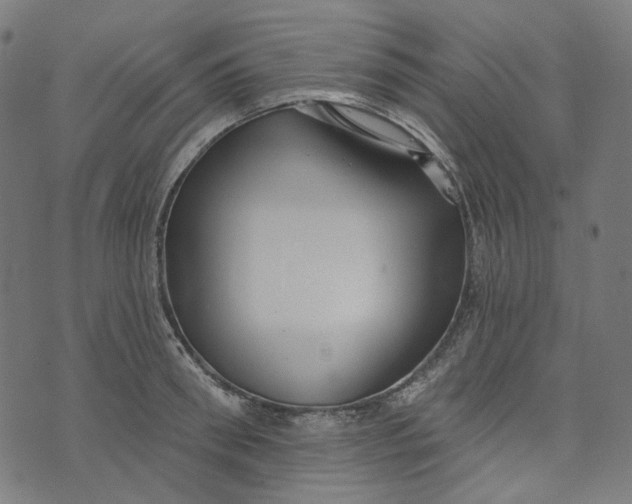X0000073500898200608211712