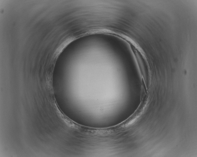 X0000073500905200608211712