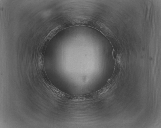 X0000073500915200608211711