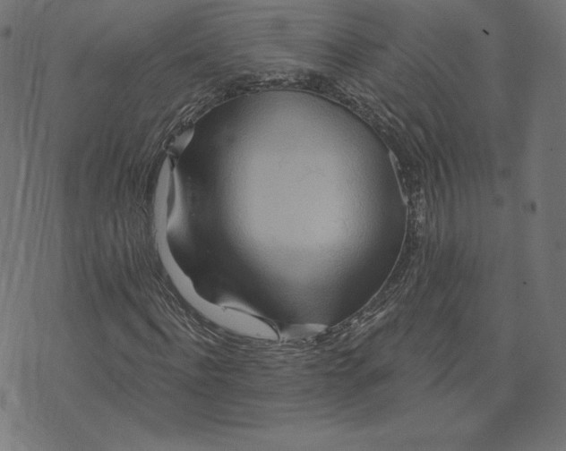 X0000073500916200608211711