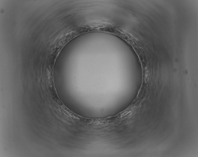 X0000073500917200608211711