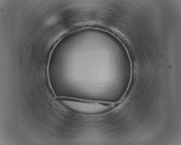 X0000073500921200608211711