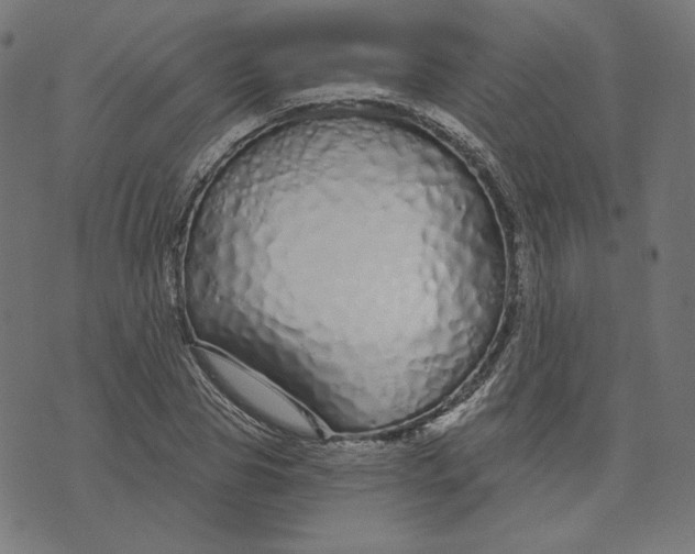 X0000073500929200608211711
