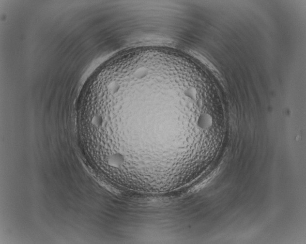 X0000073500933200608211711