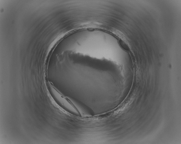 X0000073500941200608211711