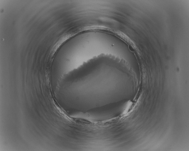 X0000073500945200608211711