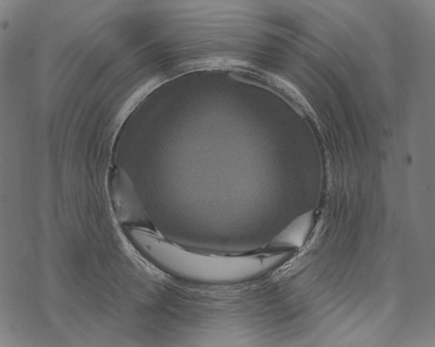 X0000073500946200608211711