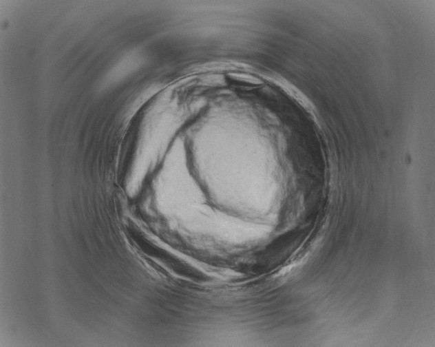 X0000073500953200608211711