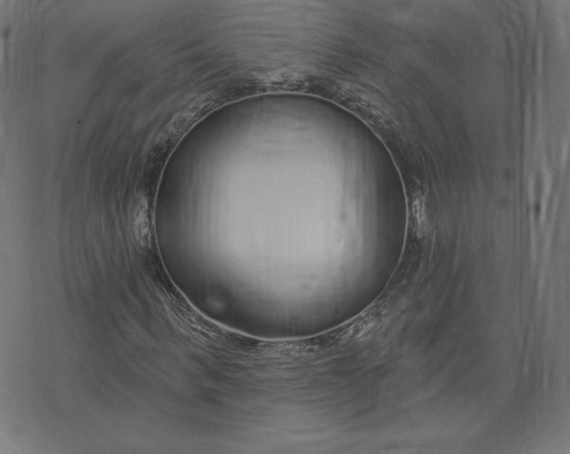 X0000073500963200608211711