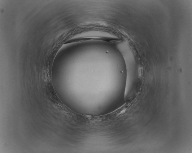 X0000073500965200608211711