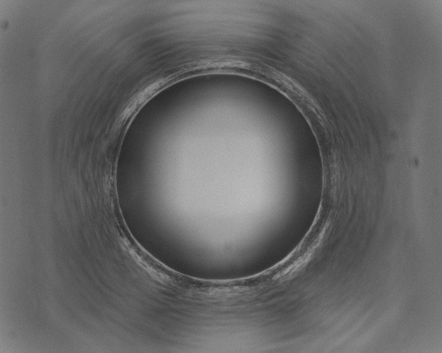 X0000073500985200608211710