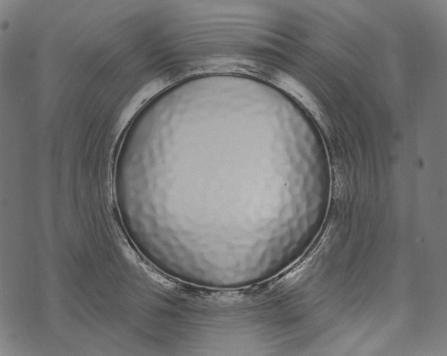 X0000073500994200608211710