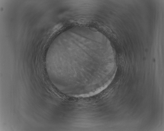 X0000073501009200608211709