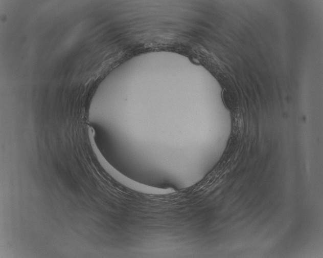 X0000073501012200608211709