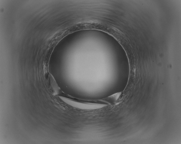 X0000073501014200608211709