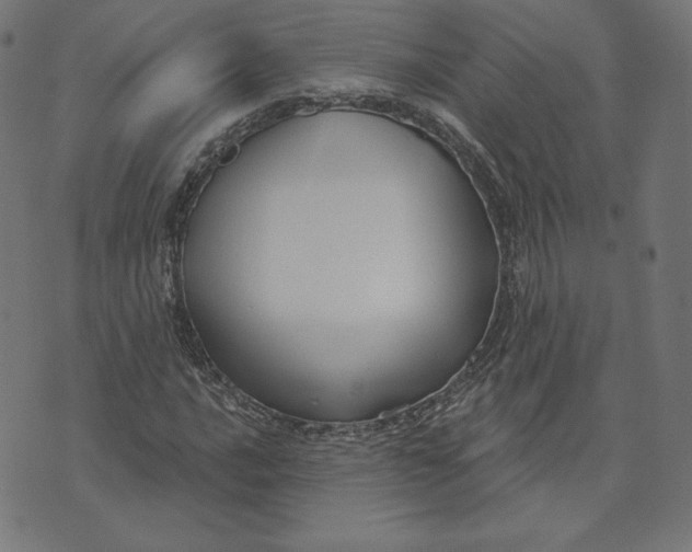 X0000073501016200608211709