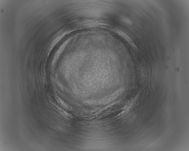 X0000073501023200608211709