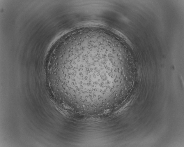 X0000073501027200608211709