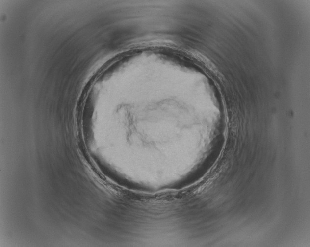 X0000073501031200608211709