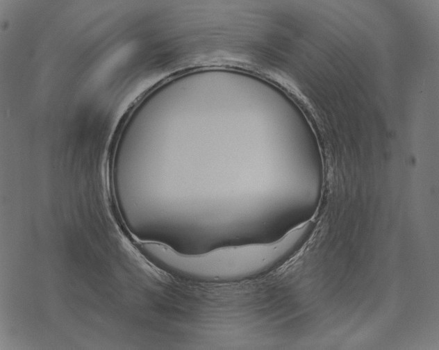 X0000073501032200608211709