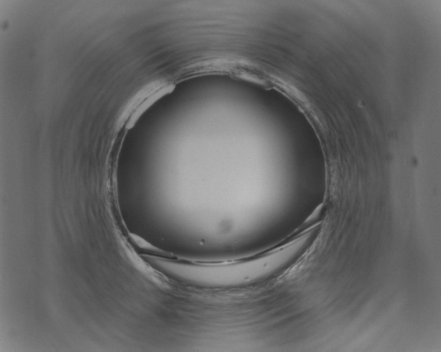 X0000073501042200608211710