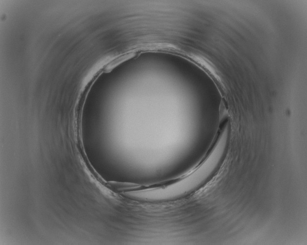 X0000073501046200608211710