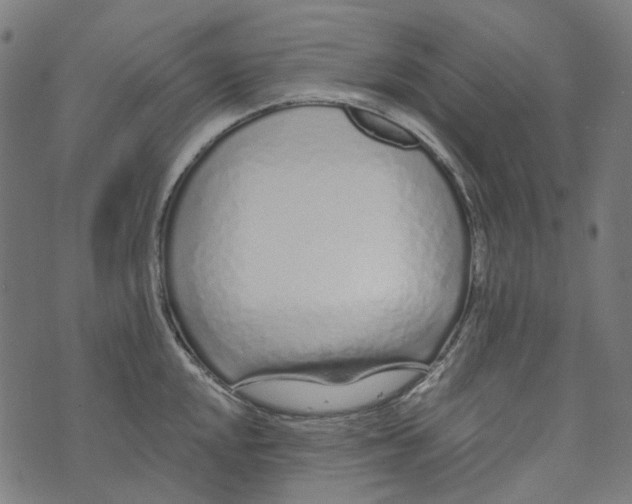 X0000073501048200608211710